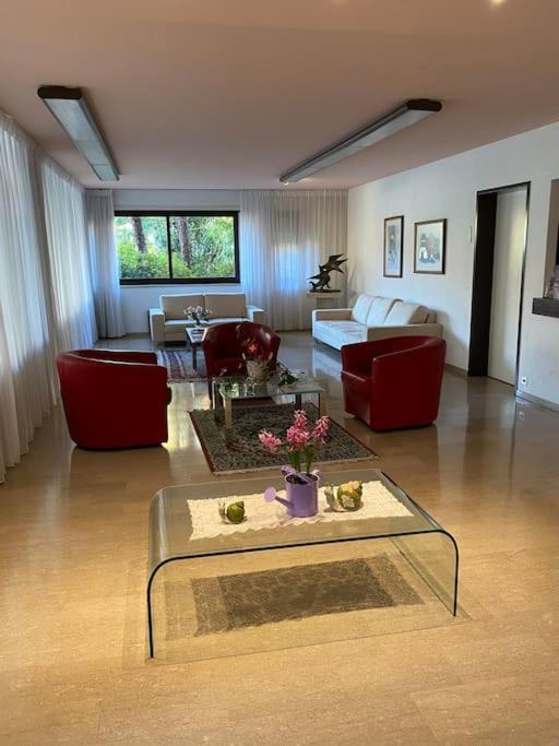 דירות Ascona: Residenza Sabrina,App 2.5 Locali E Piscina מראה חיצוני תמונה